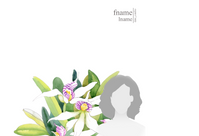 SPC-ECO-FLEUR-05