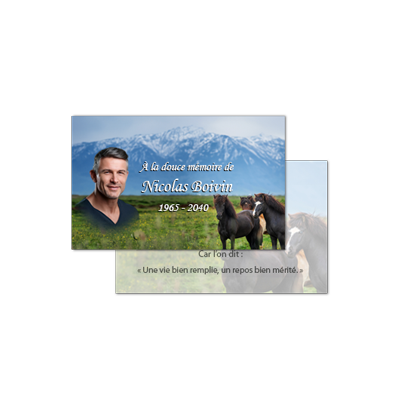 Cartes format crédit (SPV)