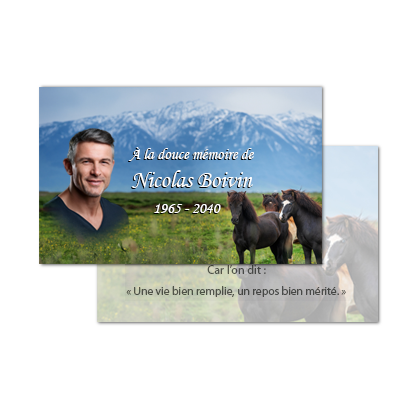 Cartes porte-feuille (SPW)